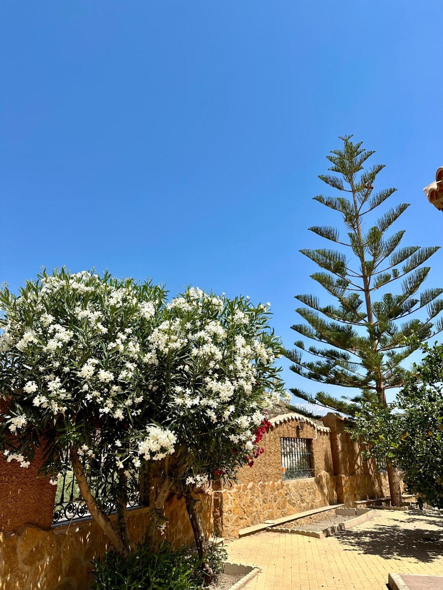 Casa Rural El Pomelo Zurgena Ngoại thất bức ảnh